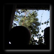 [Click to enlarge image]