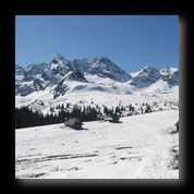 [Click to enlarge image]