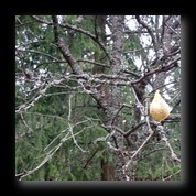 [Click to enlarge image]