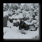 [Click to enlarge image]