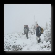 [Click to enlarge image]